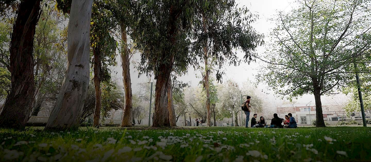 Students enjoying green spaces at UC Chile’s campus, reflecting the university’s strong commitment to sustainability and renewable energy initiatives.